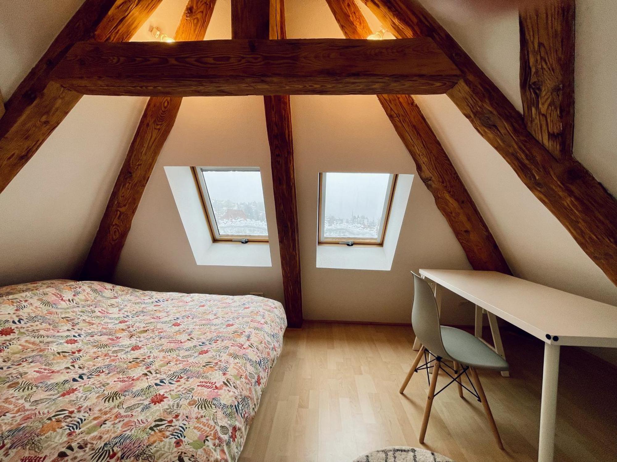 Duplex + Parking Gratuit Facile Apartment Sainte-Suzanne  Exterior photo