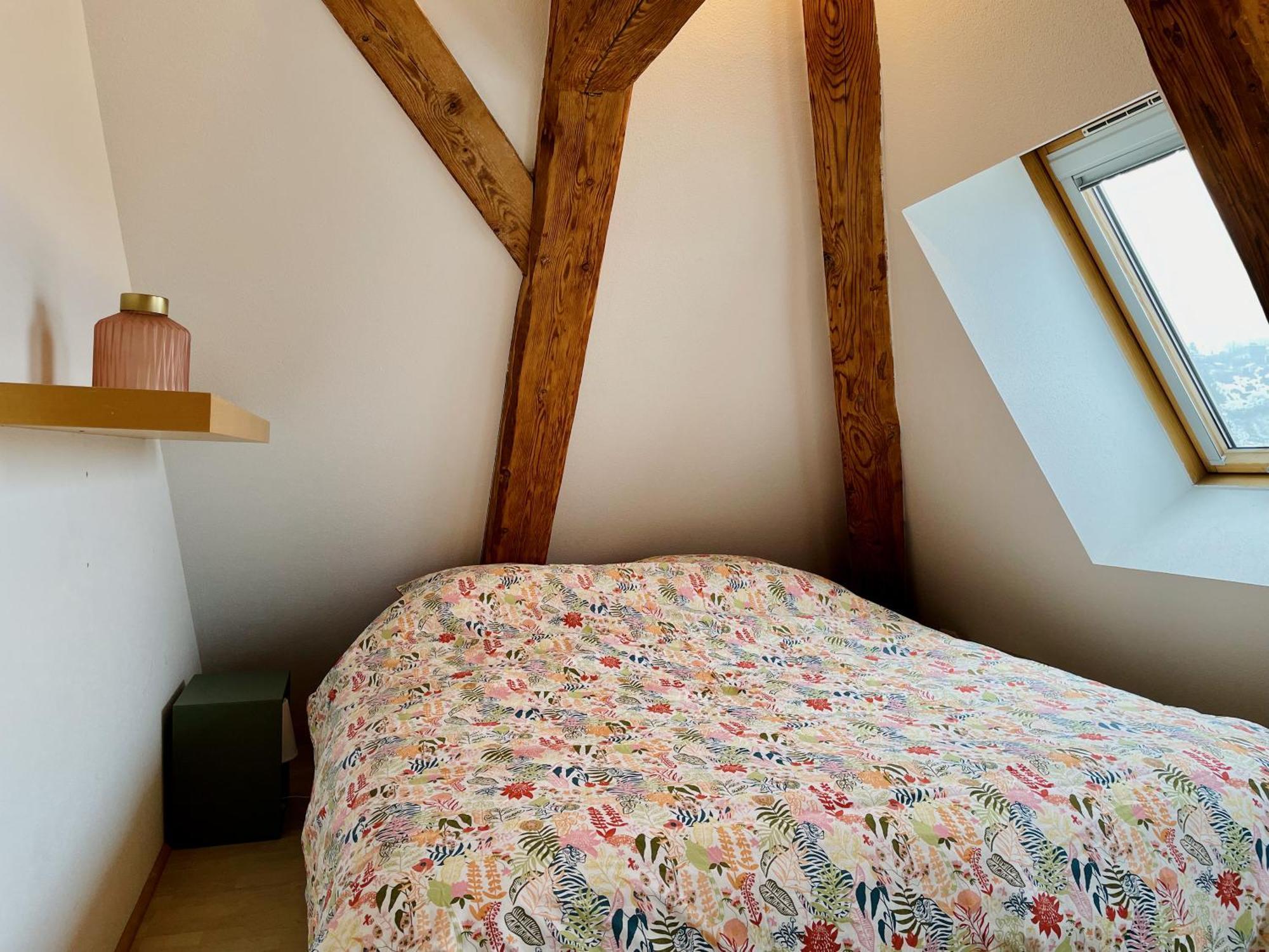 Duplex + Parking Gratuit Facile Apartment Sainte-Suzanne  Exterior photo